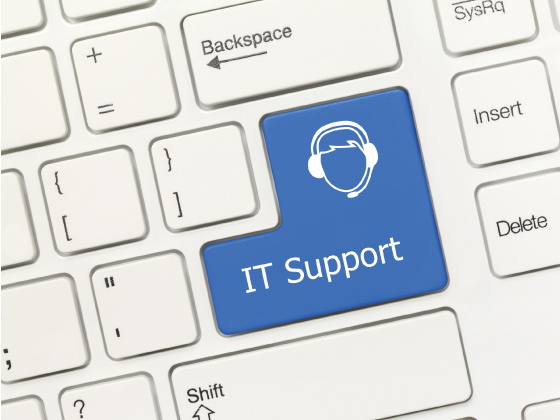 IT販売促進サポート（WEB･SNSを活用したデジタル販促）